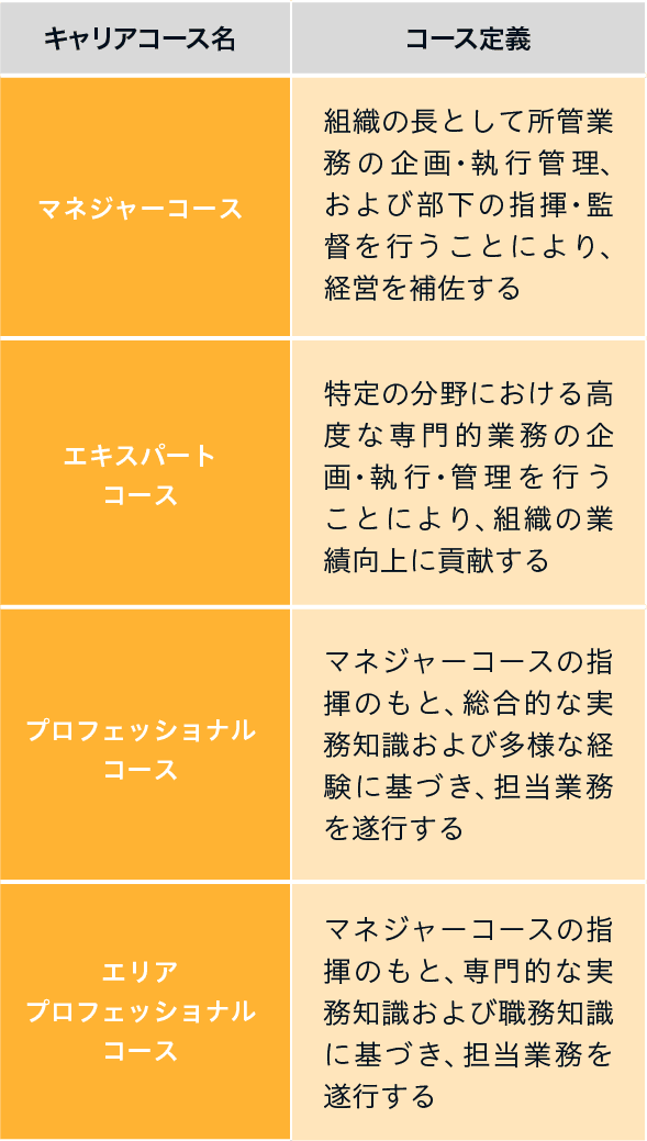 入社後のキャリアパス