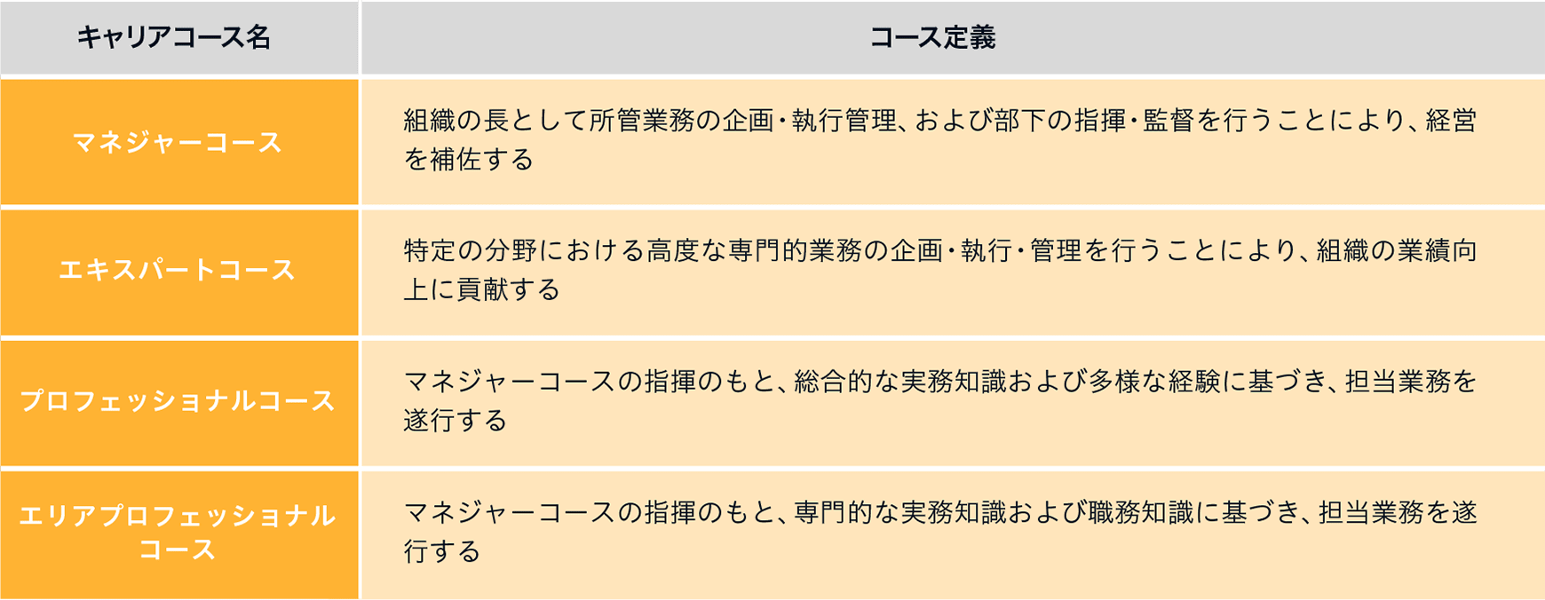 入社後のキャリアパス